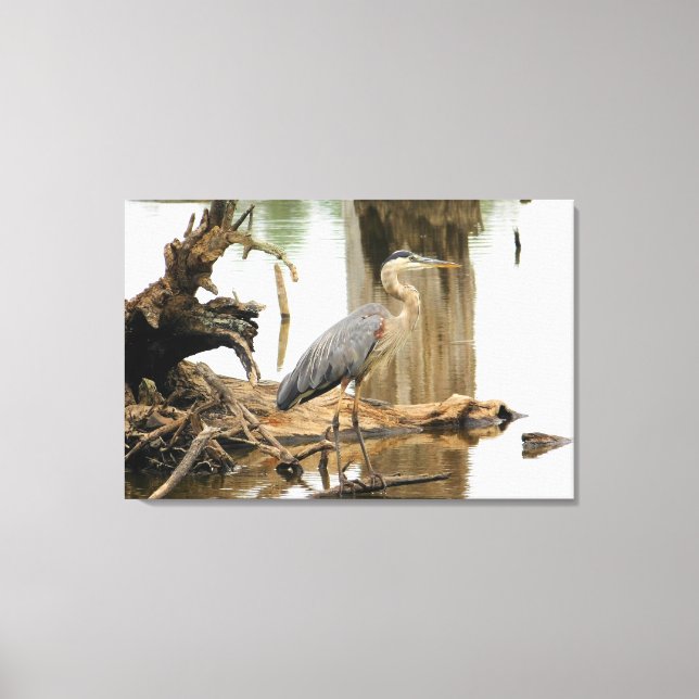 Blue Heron Nature Canvas Print (Front)
