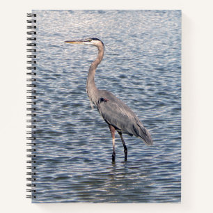 Blue Heron notebook