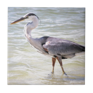 Blue Heron on Lovers Key Tile