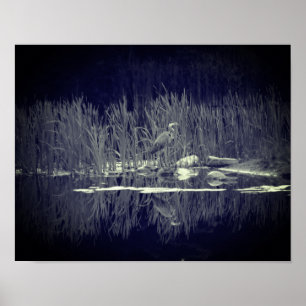 Blue Heron Reflections Bird Black And White  Poster