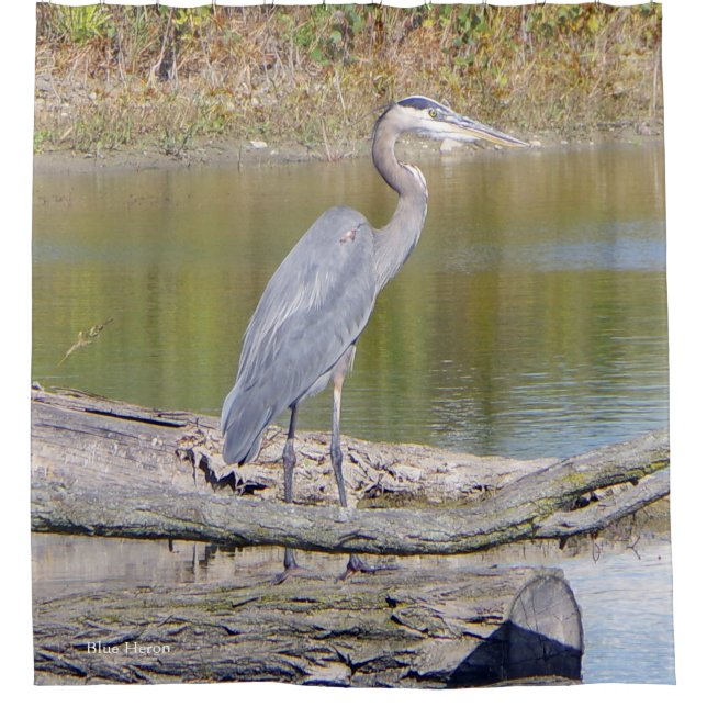 Blue Heron shower curtain (Front)