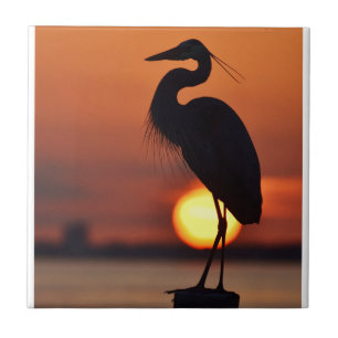 Blue Heron Silhouette Tile