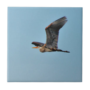 Blue Heron Tile