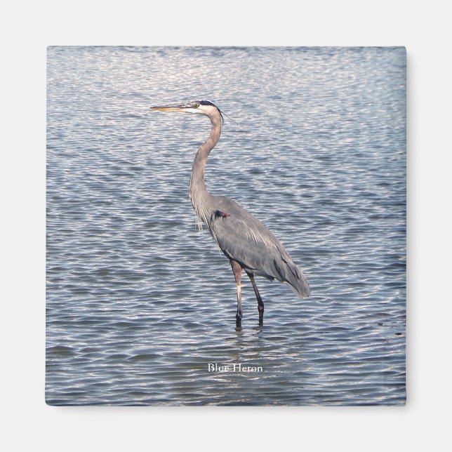 Blue Heron water magnet (Front)