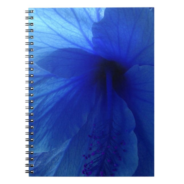 Blue Hibiscus Flower Notebook (Front)