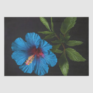 Blue Hibiscus Flower On Black, Decoupage  Tissue Paper