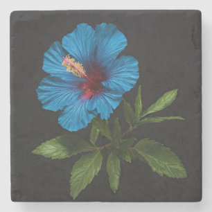 Blue Hibiscus Flower On Black, Stone Coaster