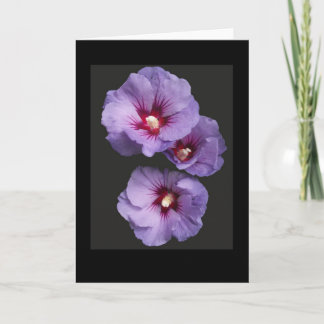 Blue Hibiscus Greetings Card