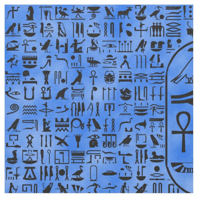 Blue Hieroglyphics Fabric (Close Up)