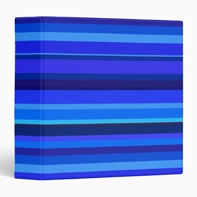 Blue horizontal stripes binder (Front/Spine)