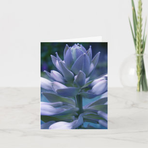 Blue Hosta "photographic" everyday card