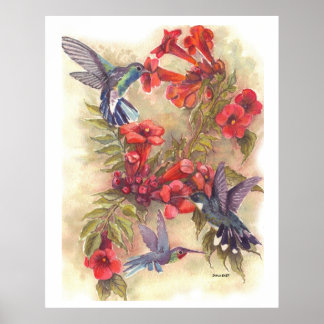 BLUE HUMMING BIRDS WITH ORANGE TRUMPET VINES POSTER