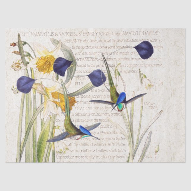 Blue Hummingbird Bird Daffodil Flower Tissue Paper (Front)