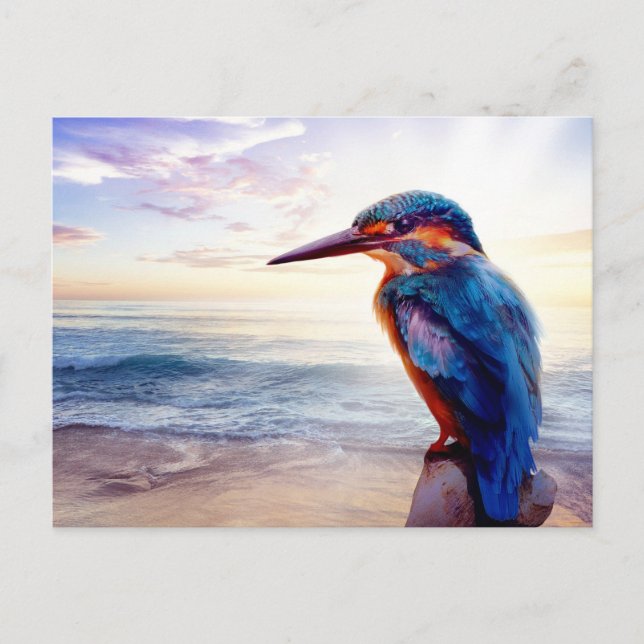 Blue Hummingbird Exotic Sunset Beach Postcard (Front)