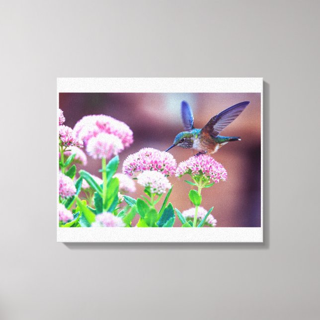 Blue Hummingbird Floral Stretched Canvas Print (Front)