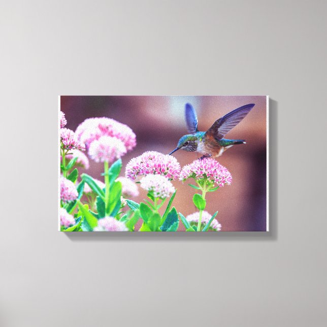 Blue Hummingbird Floral Stretched Canvas Print (Front)