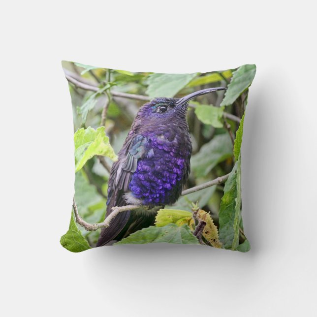 Blue Hummingbird Photo Throw Pillow (Front)