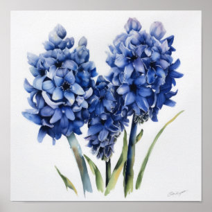 Blue Hyacinth Flower Art Print Poster