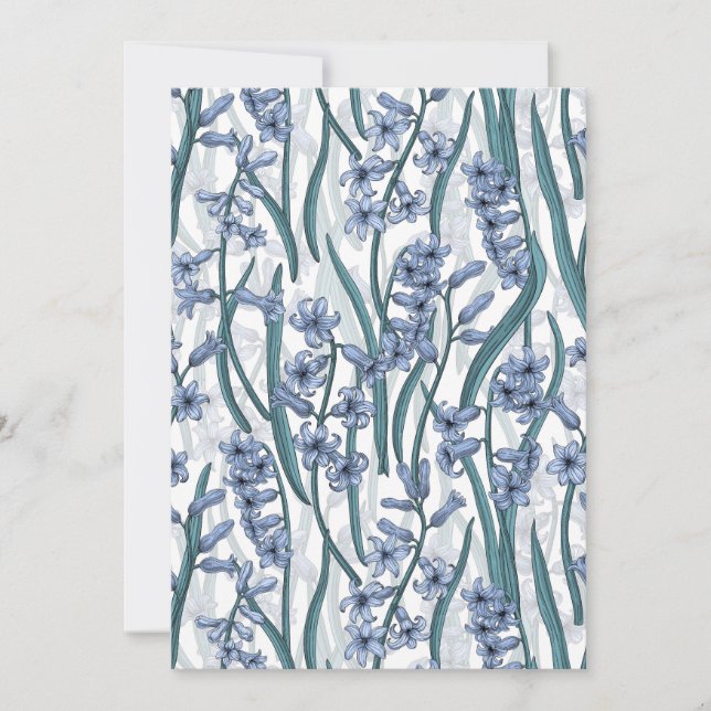 Blue Hyacinth flowers on white (Front)