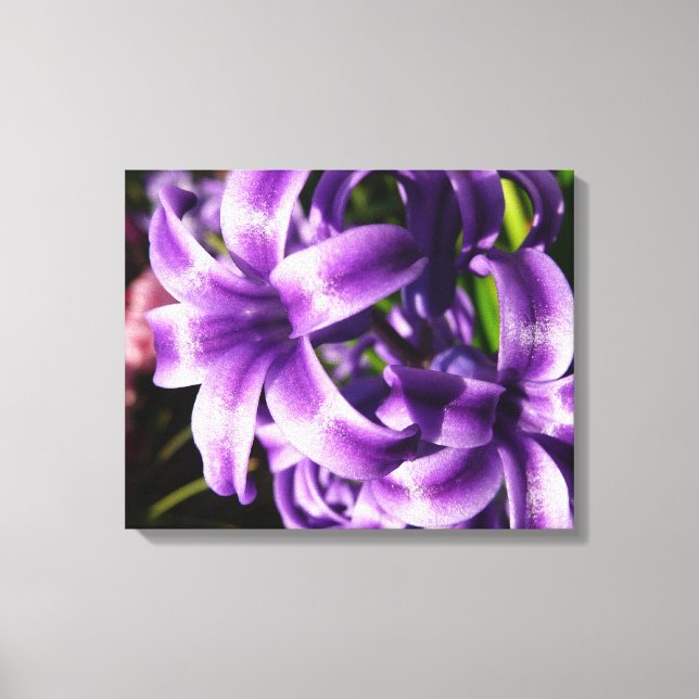 Blue Hyacinth I Spring Floral Canvas Print (Front)