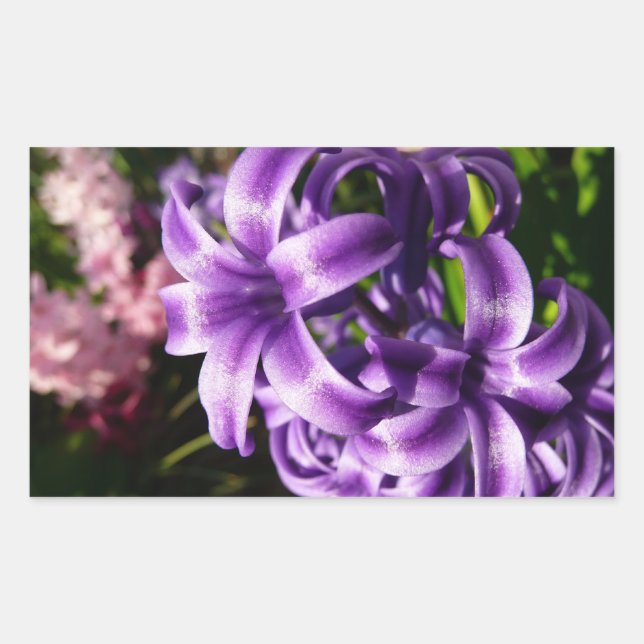 Blue Hyacinth I Spring Floral Sticker (Front)