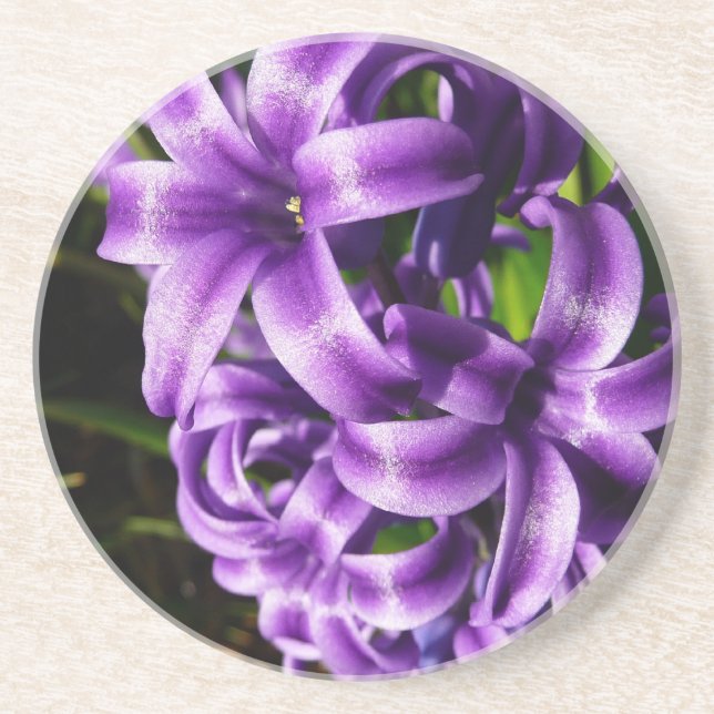 Blue Hyacinth II Spring Floral Coaster (Front)