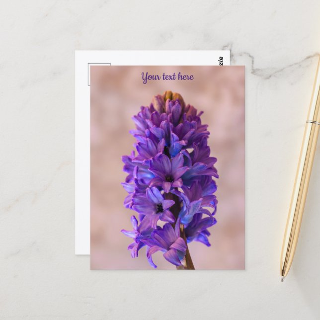 Blue Hyacinth Postcard (Front/Back In Situ)