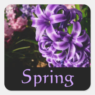 Blue Hyacinth Spring Sticker