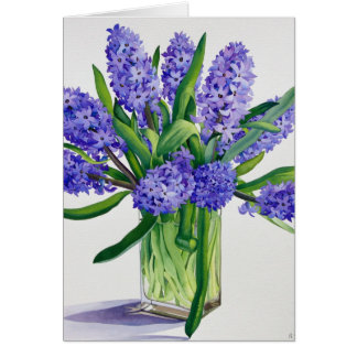 Blue Hyacinths