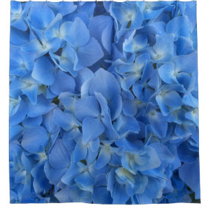 Blue Hydrangea