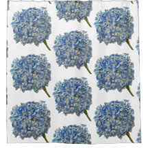 Blue Hydrangea