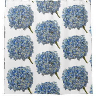 Blue Hydrangea