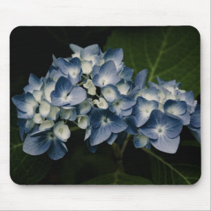 Blue Hydrangea 8514 Mousepad