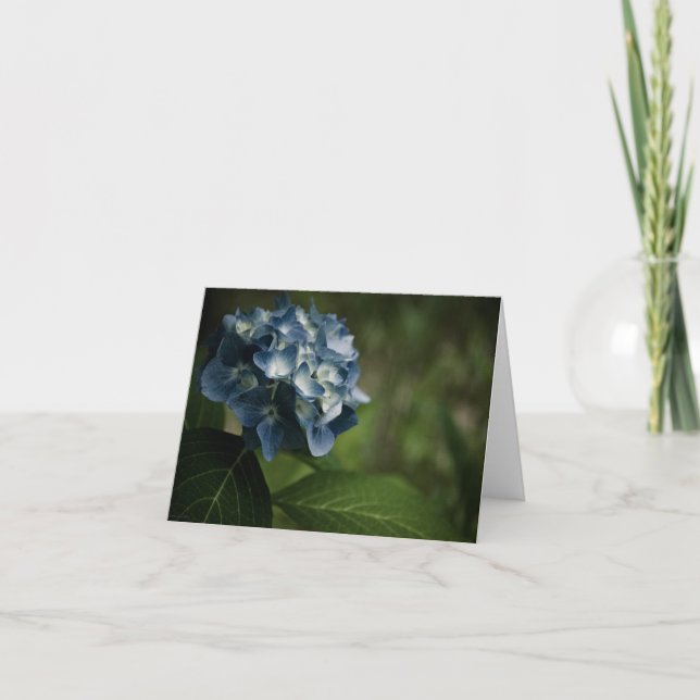Blue Hydrangea 8519 Card (Front)