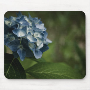 Blue Hydrangea 8519 Mousepad