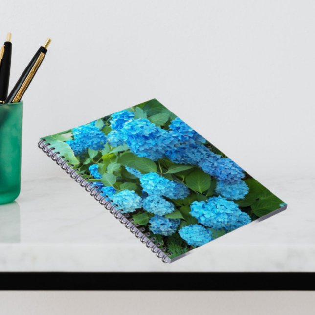Blue Hydrangea Blooms Floral Notebook (In Situ)