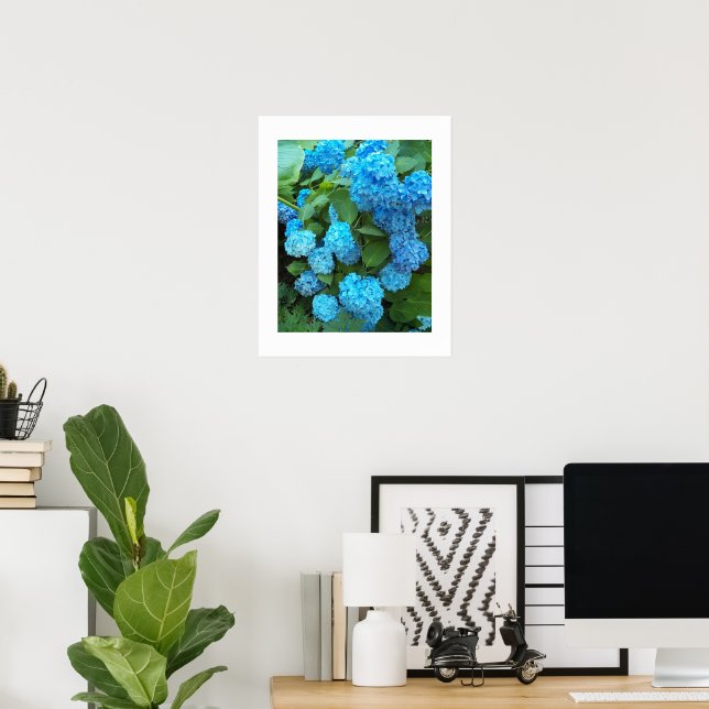 Blue Hydrangea Blooms Floral Poster (Home Office)