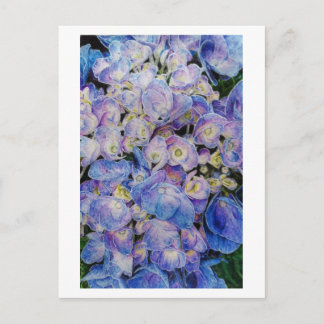 Blue Hydrangea Botanical Art Postcard