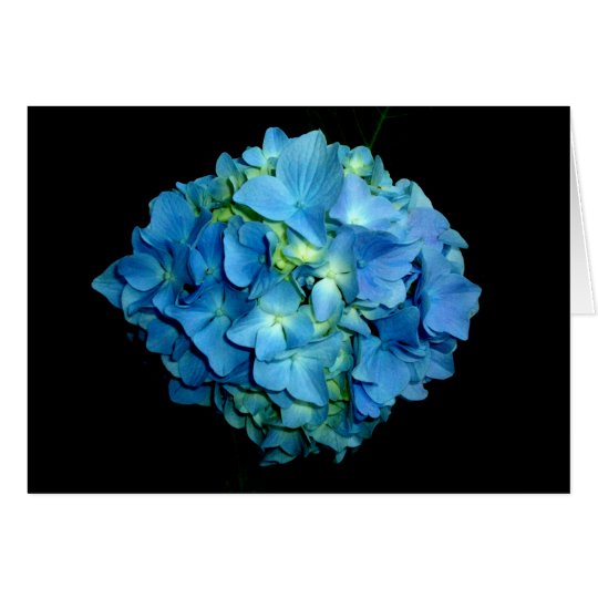 Blue Hydrangea Card