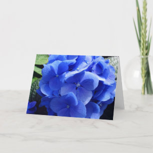 Blue Hydrangea Card