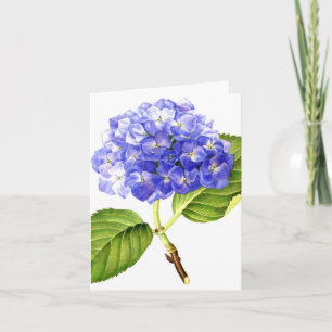 Blue Hydrangea Card