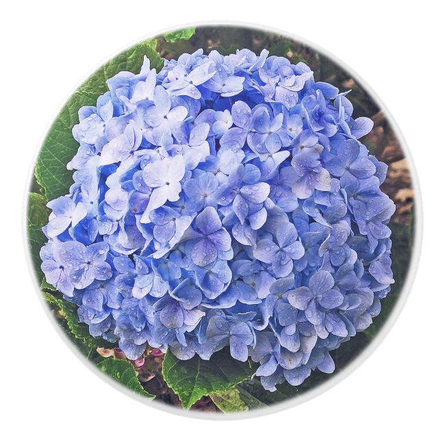 Blue Hydrangea Ceramic Knob (Front)