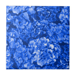 Blue Hydrangea Ceramic Tile