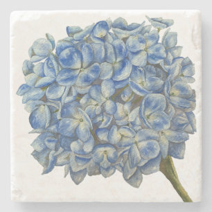 Blue Hydrangea Coaster
