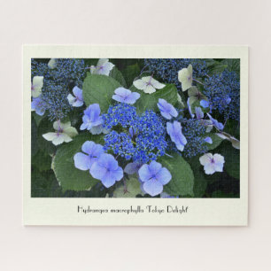 Blue Hydrangea Collectable Flower  Jigsaw Puzzle