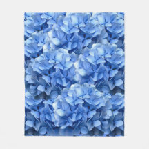 Blue Hydrangea
