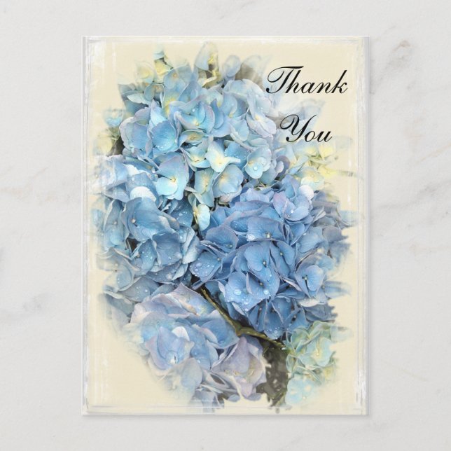 Blue Hydrangea Flower Thank You Note Postcard (Front)