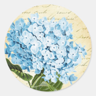 Blue Hydrangea Flower Vintage Botanical Classic Round Sticker