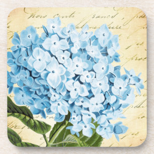 Blue Hydrangea Flower Vintage Botanical Coaster