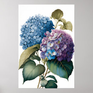 Blue Hydrangea Flowers Art Print Poster